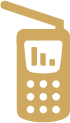 Satellite telephone